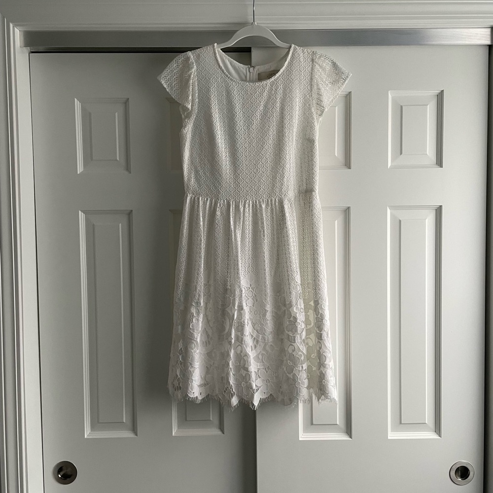 NWT Loft lace dress 0